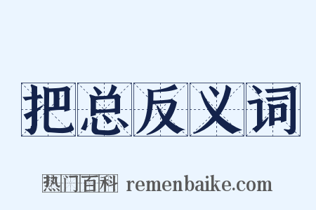 把总反义词是什么意思的图片